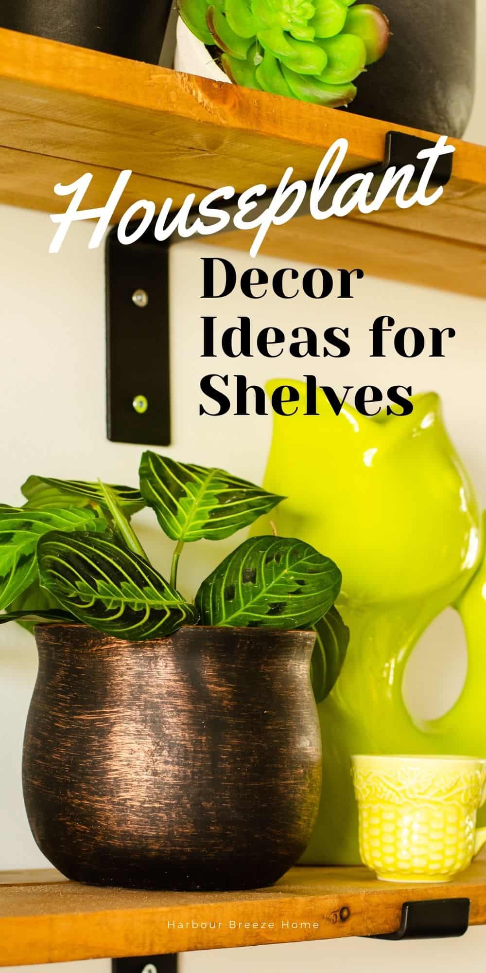 Prayer plant on a farmhouse shelf as Dining Room decor for Spring