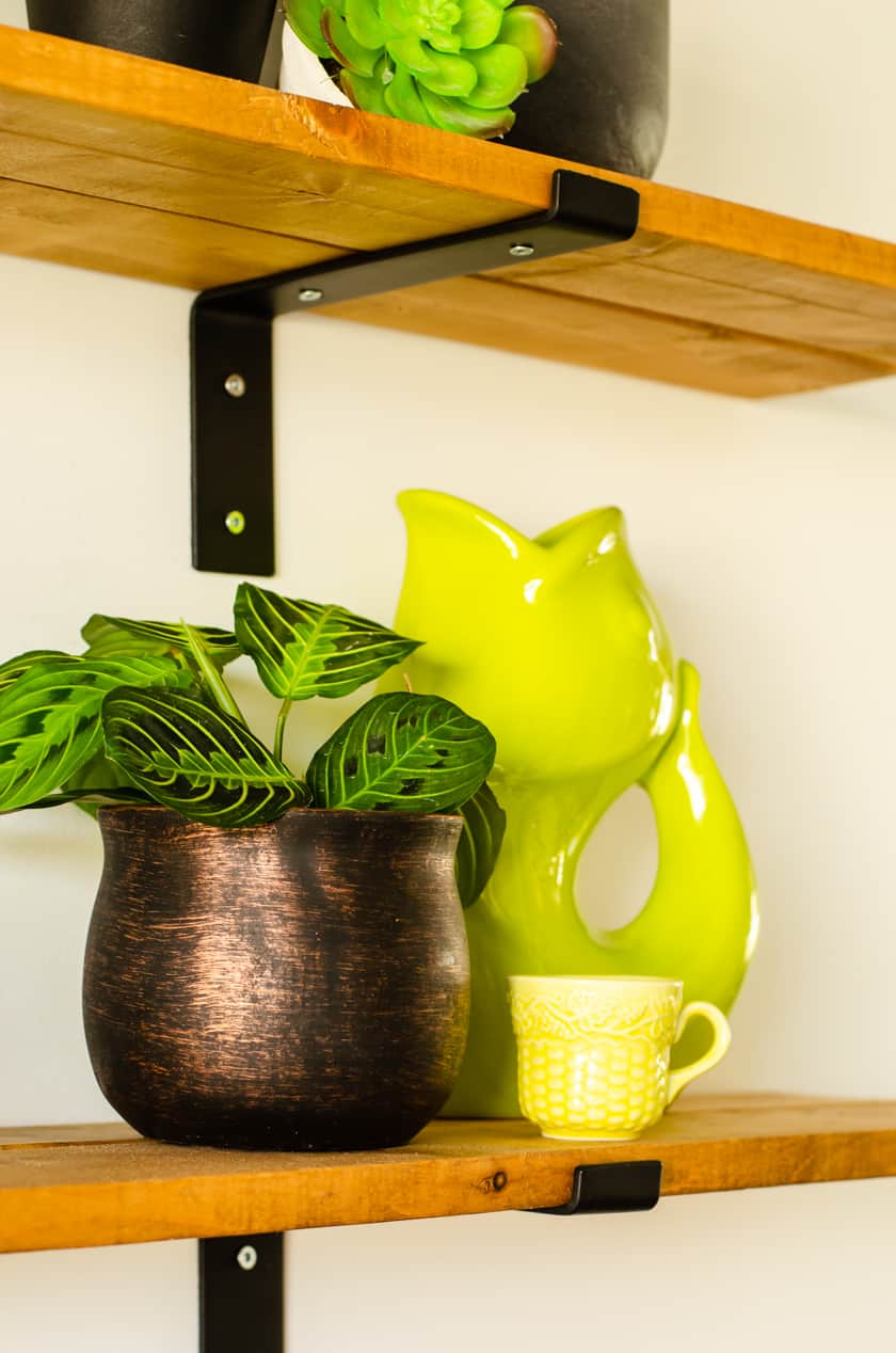 How to Decorate Farmhouse Shelves with Houseplants
