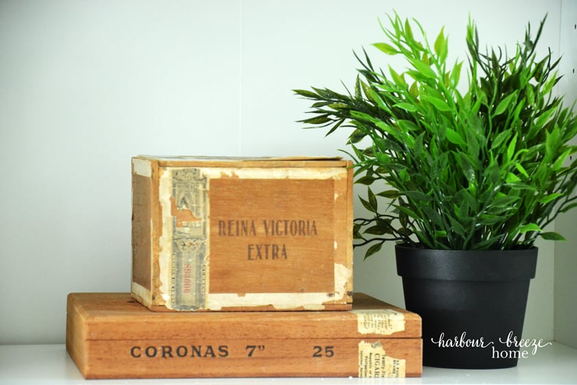 Wooden boxes and greenery on a shelf