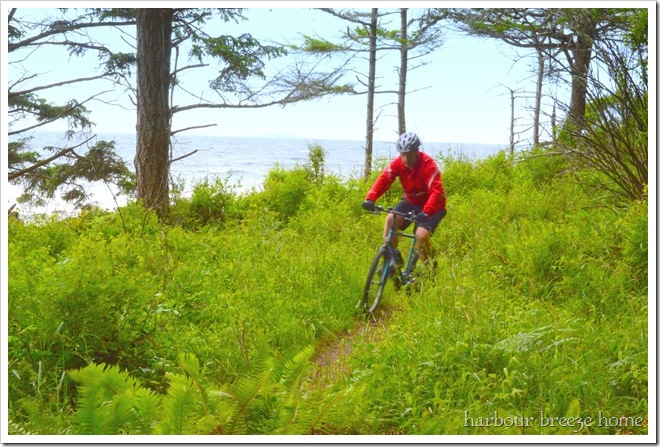 riding by ocean ps