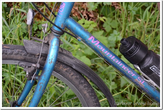 A Gift for the Mountain Biker
