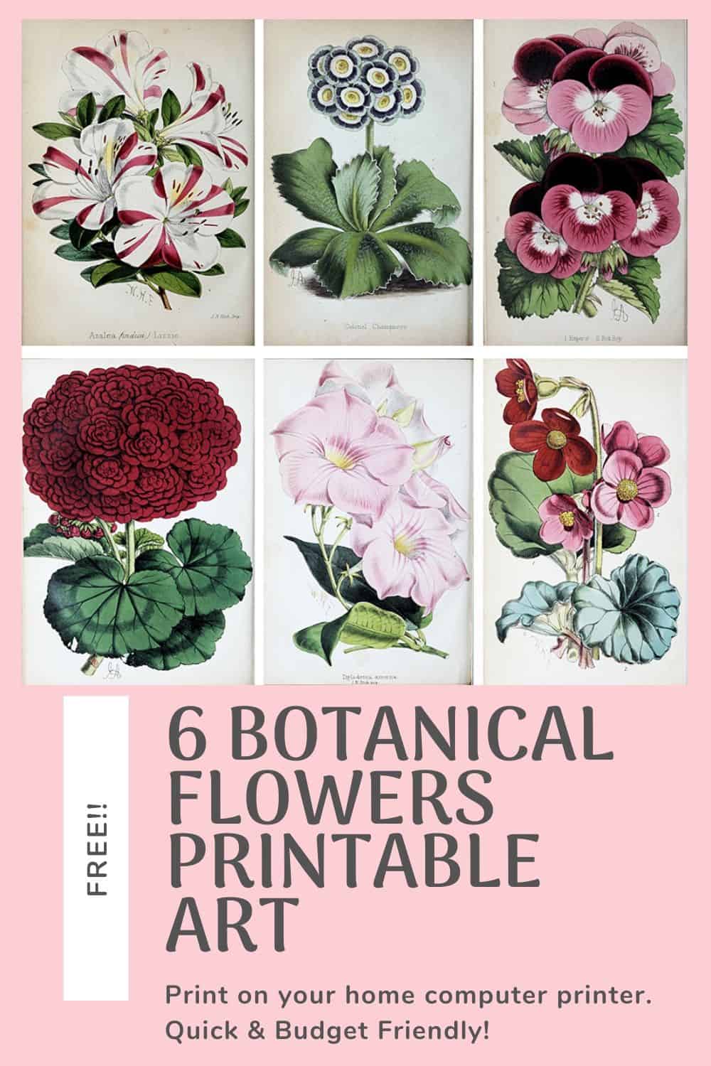 set of 6 free printable wall art flowers