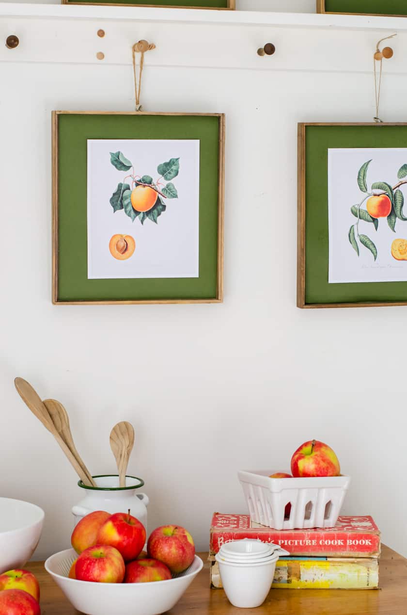 Free Wall Art Printables (Botanical Fruit Prints)