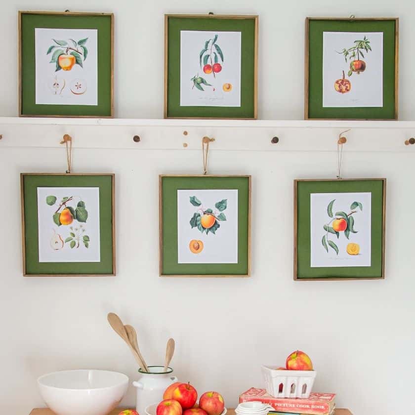 Botanical Fruit Printables for Stylish Home Decor