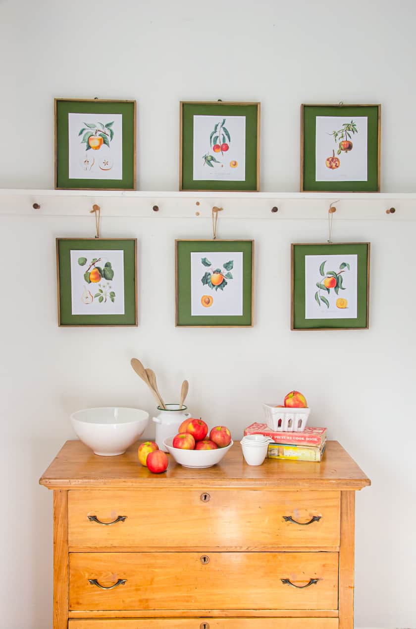 Free Wall Art Printables (Botanical Fruit Prints)