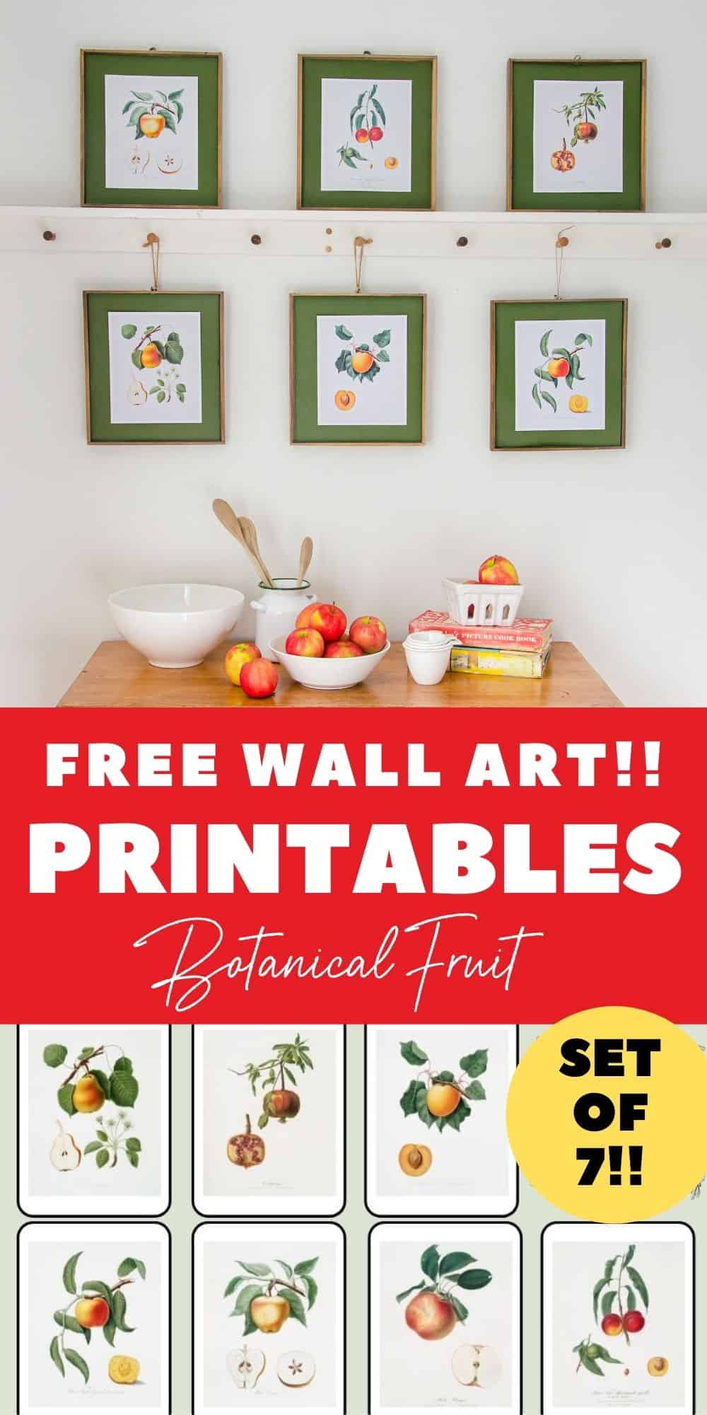 Free Wall Art Printables (Botanical Fruit Prints)