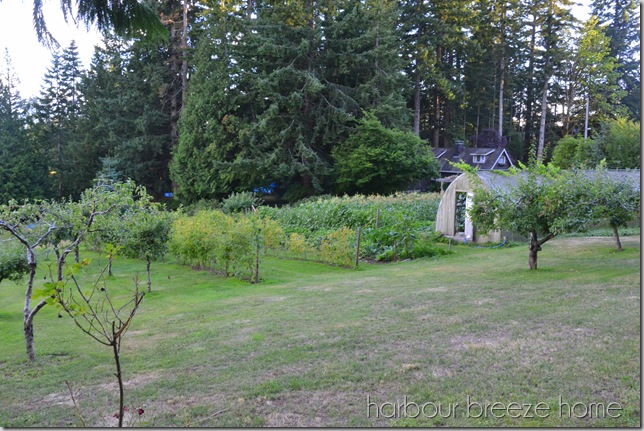 whole camp garden