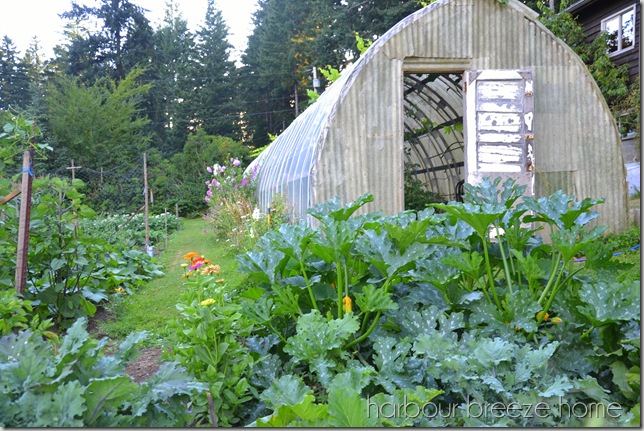 greenhouse