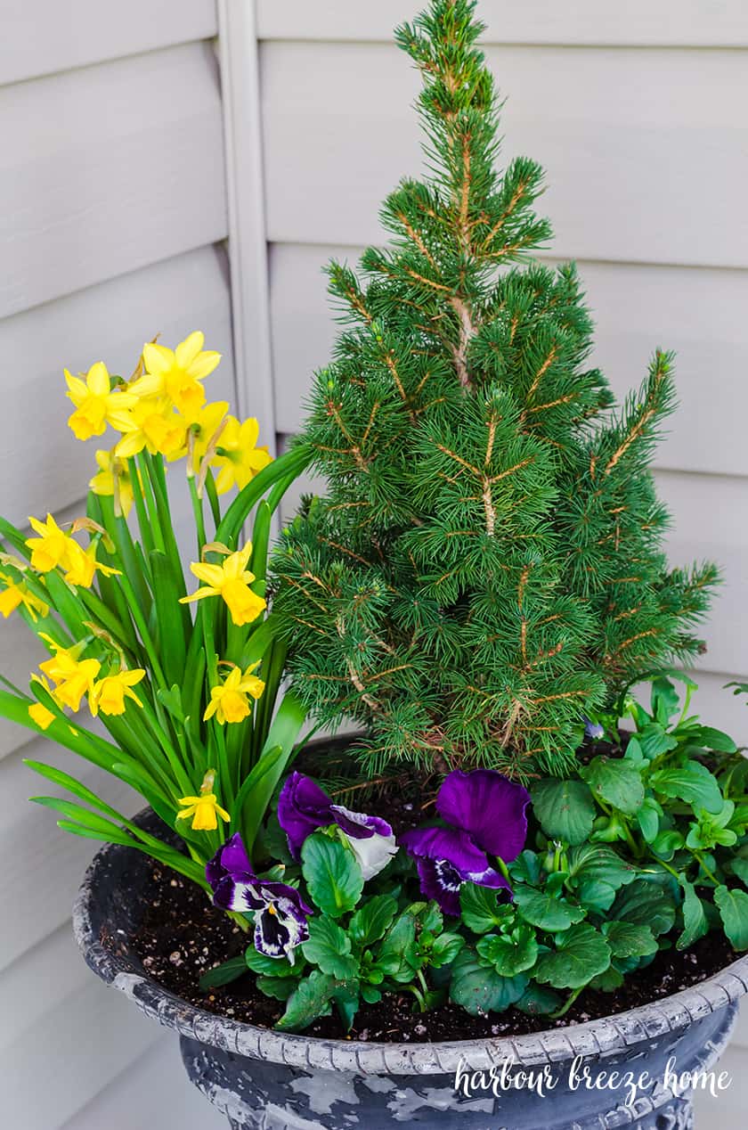 Perk Up Your Small Entryway with these Simple Front Porch Decor Ideas