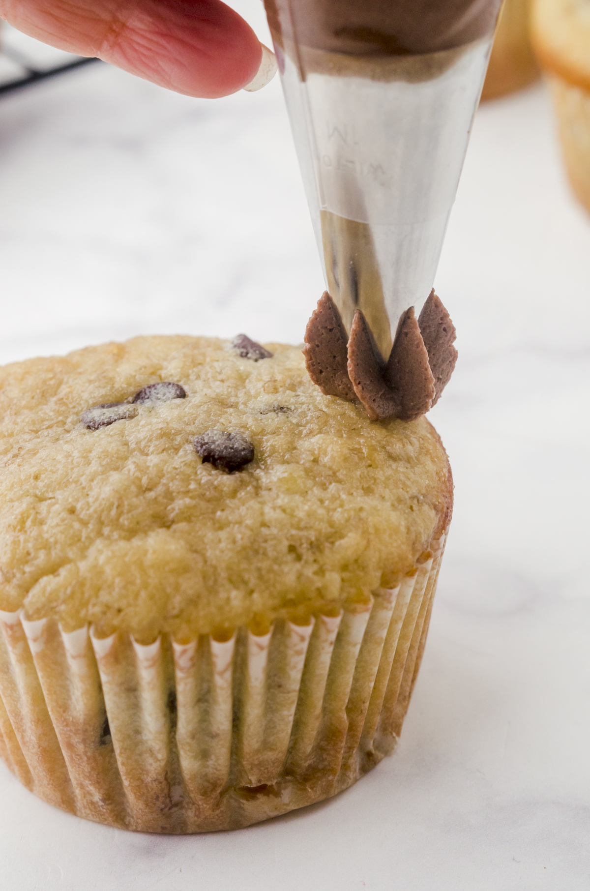 Icing being squeezed out of the bag and metal tip and being placed on the outside edge of a cupcake as the first step for how to frost cupcakes.