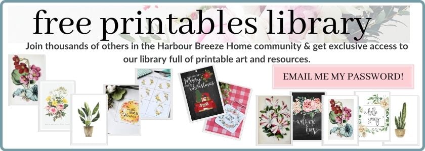 How to Make Frozen Hot Chocolate