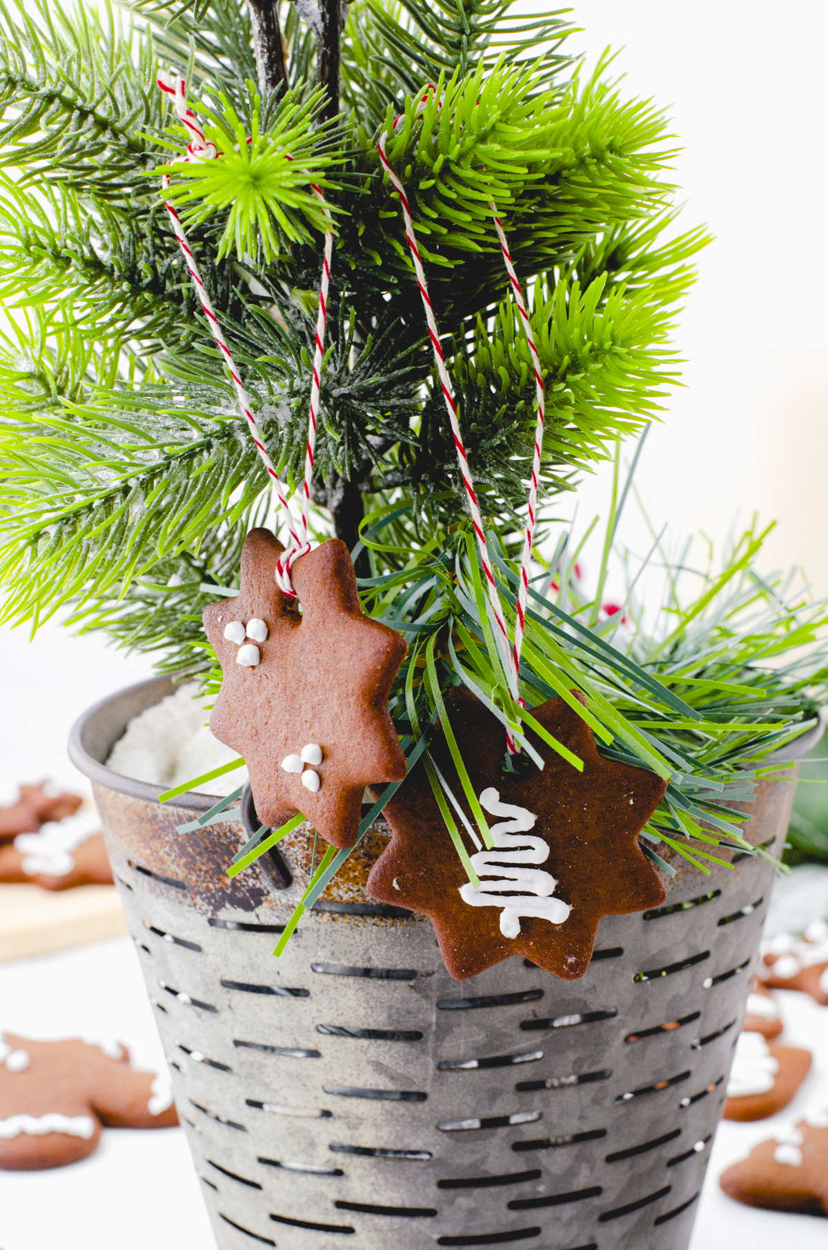 Gingerbread cookies tied onto a tree with red striped bakers twine.