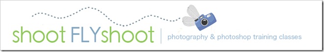 shootFLYshoot_header