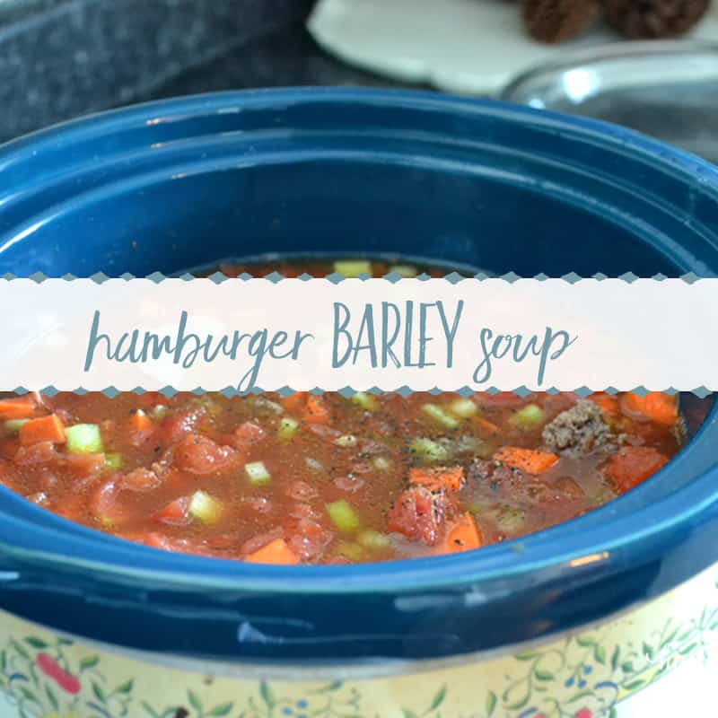 Comforting Hamburger Barley Soup Recipe