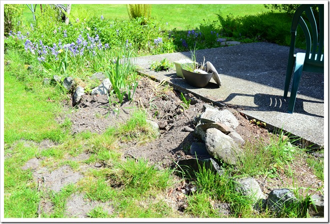 Sunshine Days and Outdoor Projects