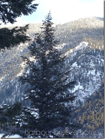 mountain 2