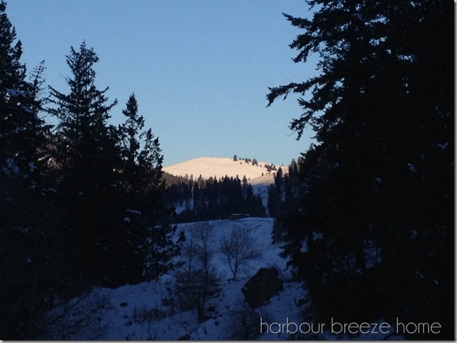 photo (10)