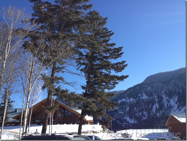 photo (14)