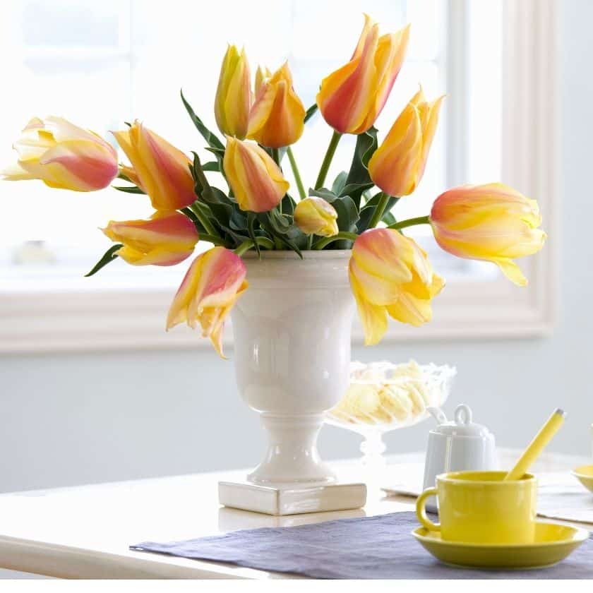Creative Home Insights for Your Living Space