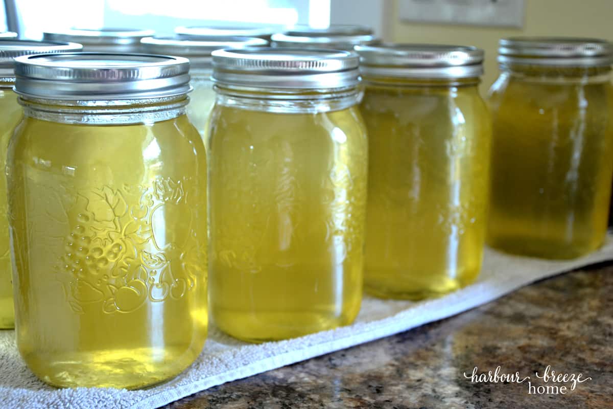 Jars of clear homemade apple juice lined up on a counter