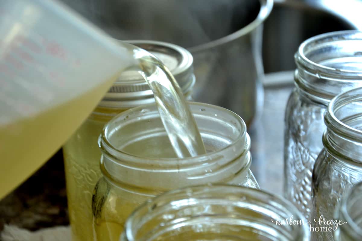 Homemade Apple Juice Recipe (Clear, No Press Needed!)