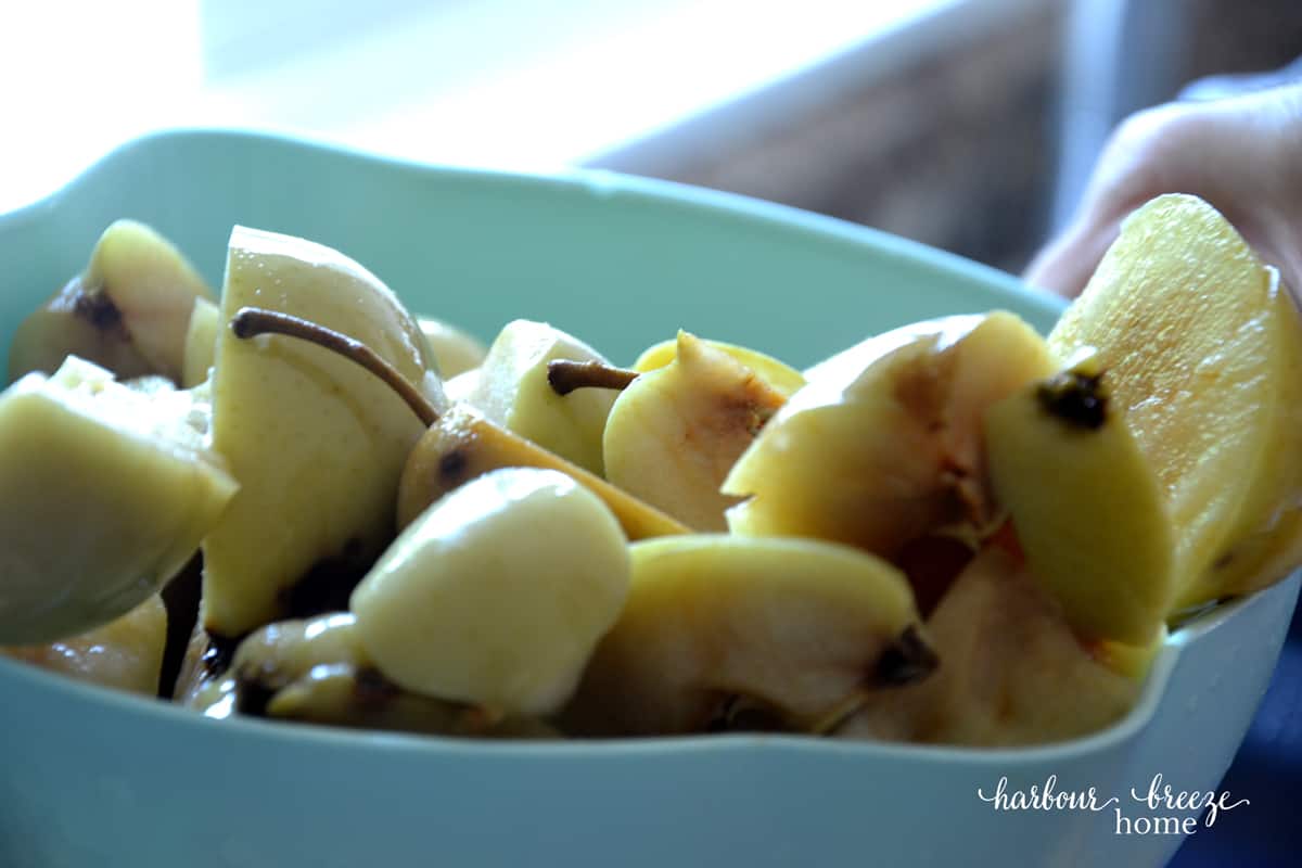 Apple chunks in a strainer