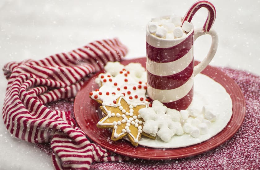 Homemade Christmas: Decor, Crafts, & Recipes for the Holiday Home