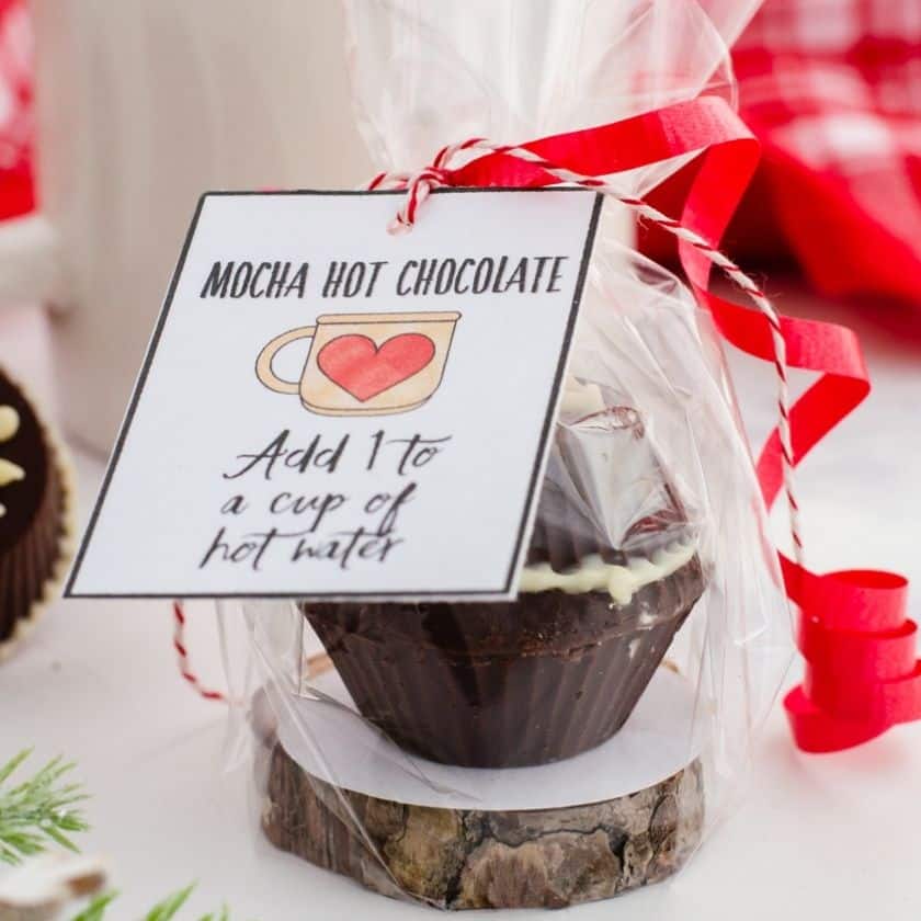 Homemade Mocha Hot Chocolate Bombs Recipe