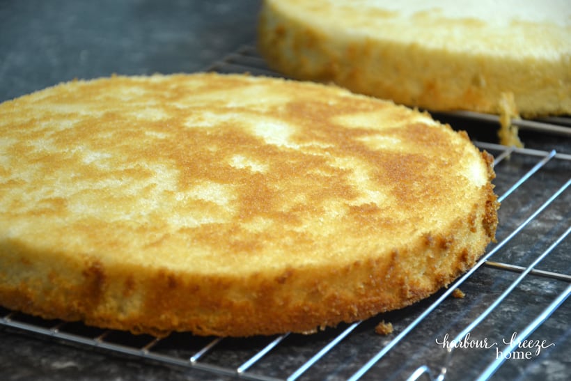 Round vanilla cake layer cooling on a wire cooling rack.