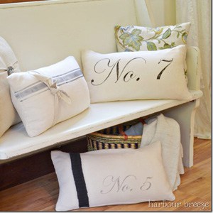Hand Painted Pillow