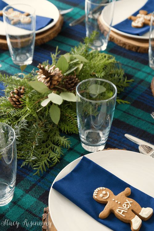 How to Decorate for Christmas with Nature | An Interview with Stacy Risenmay