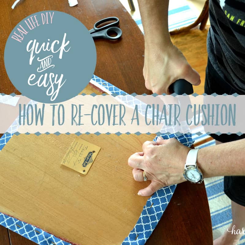Transform Dining Seats With Fresh Upholstery in Simple Steps