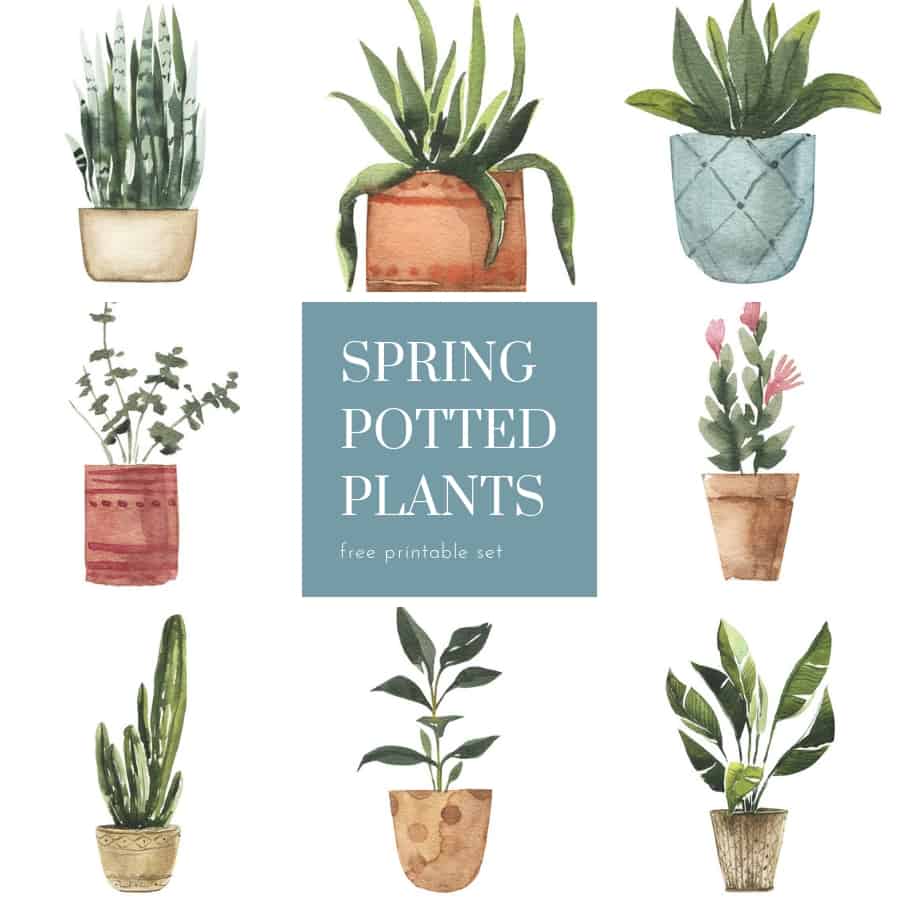 free flower printables