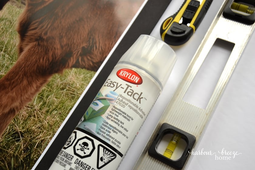 How to Mount Photos & Posters on Foam Board (Easy Spray Adhesive Method)