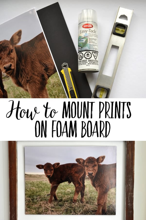 How to Mount Photos & Posters on Foam Board (Easy Spray Adhesive Method)