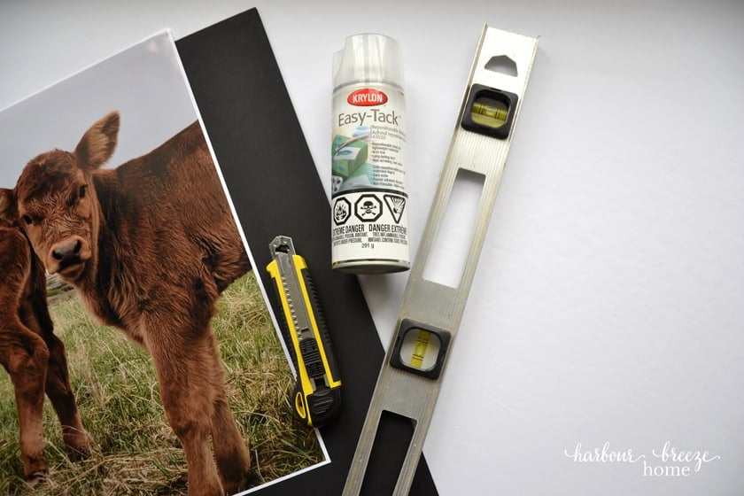 Supplies needed for mounting photos to foam board