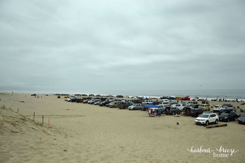 cars parked on a sandy beach