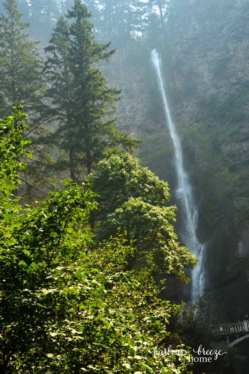 tall waterfall with tree in foreground
