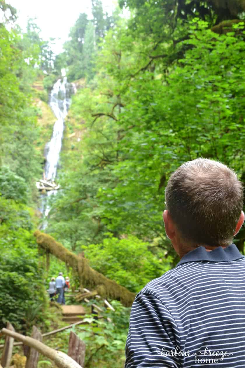 a man looking at a waterfall