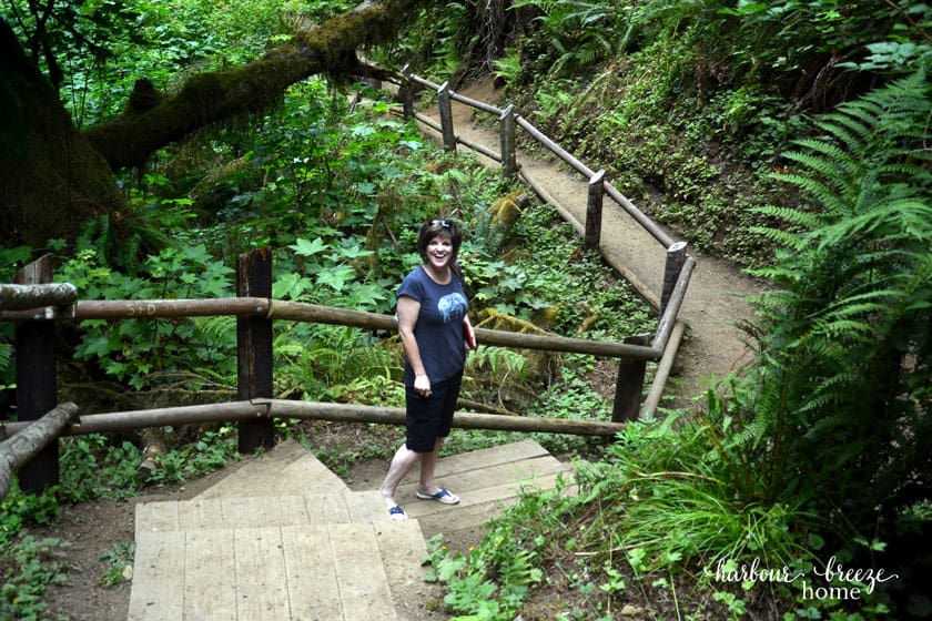 lady standing on a path in a park with ferns and trees