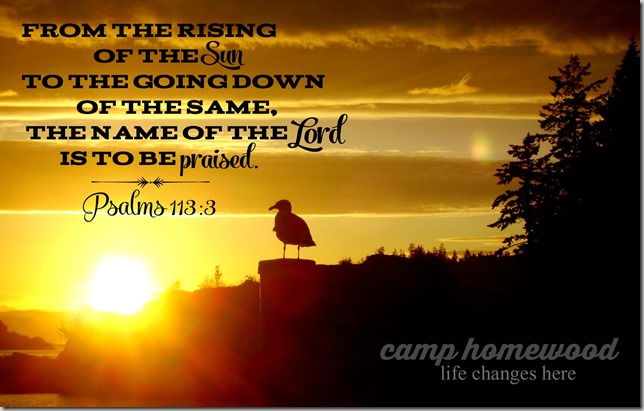 bird in sunset with verse