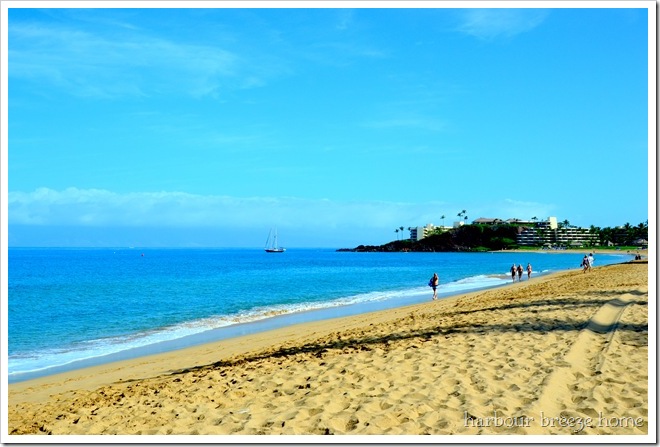 Kannapali Beach