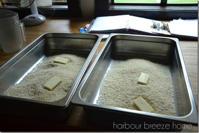 Feeding a Crowd ~ Butter Chicken Meal for 50