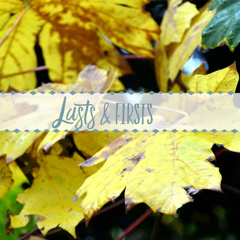 Lasts & Firsts: The Milestones That Tug at My Heart