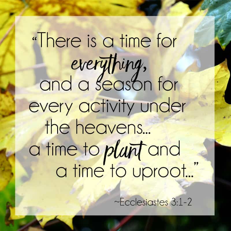 Lasts & Firsts~ Changing seasons in life is a roller coaster sometimes...