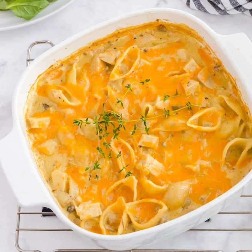 Quick Creamy Turkey Pasta from Leftovers