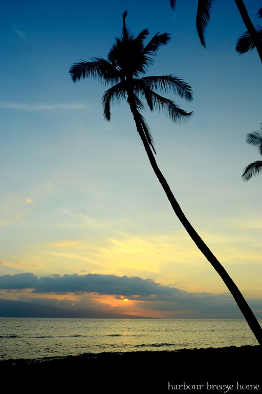 blog refocus| Bildirimlerim