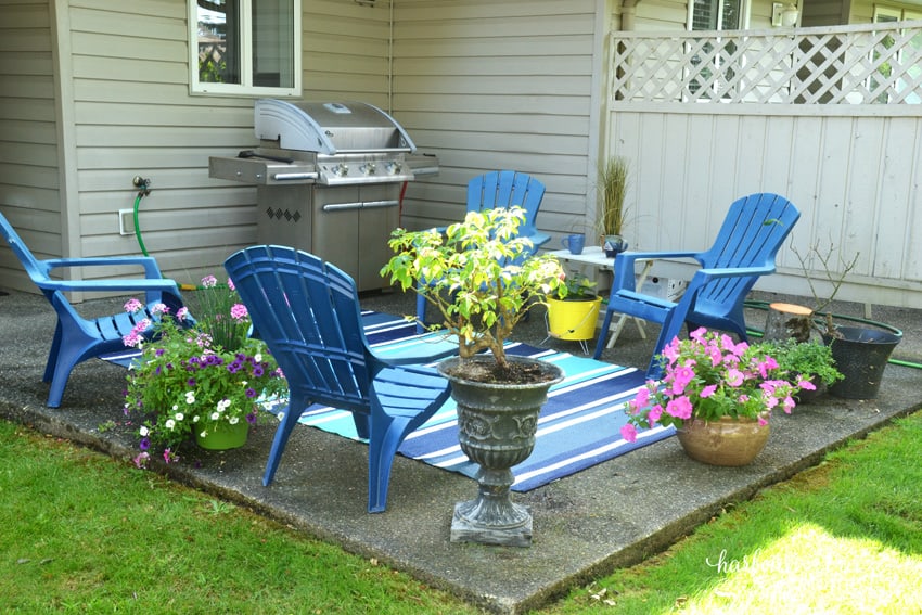 Mid-Summer Flowers