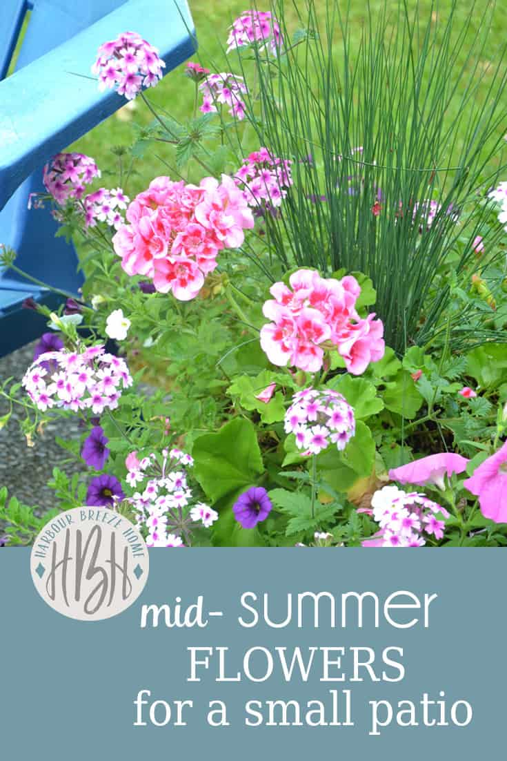 Mid-Summer Flowers