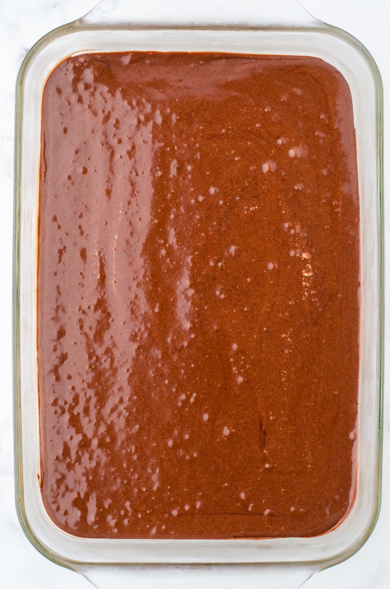 Chocolate layer in a 9x13 inch pan for a mocha refrigerator dessert recipe.